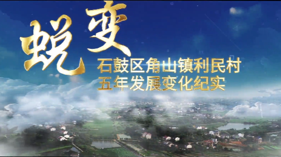 视频丨石鼓区利民村的这五年