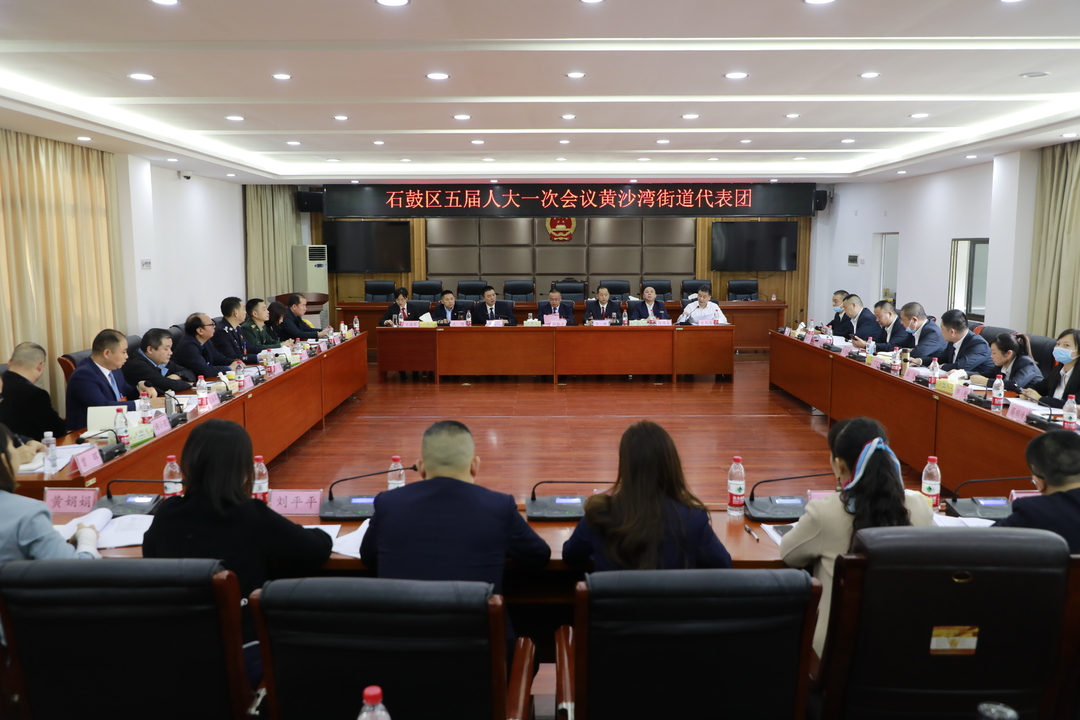 颜和平参加黄沙湾街道代表团审议：围绕目标为石鼓做更多有意义的事