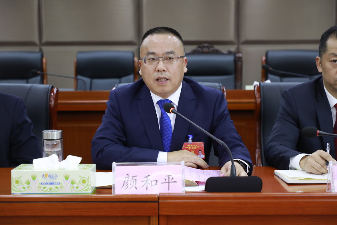 颜和平参加黄沙湾街道代表团审议:围绕目标为石鼓做更多有意义的事