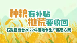 @父老乡亲 粮食生产政策好！石鼓区2022年度粮食生产奖惩方案请查收~