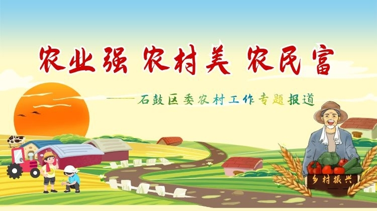 农业强 农村美 农民富