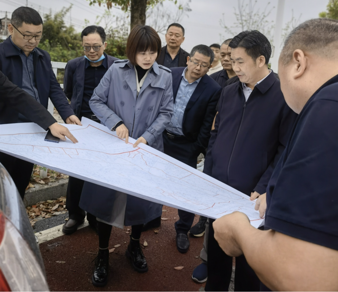 高起点、高水平、高标准做好大融合、大产业、大片区三篇文章：市人大调研石鼓区城区规划实施情况
