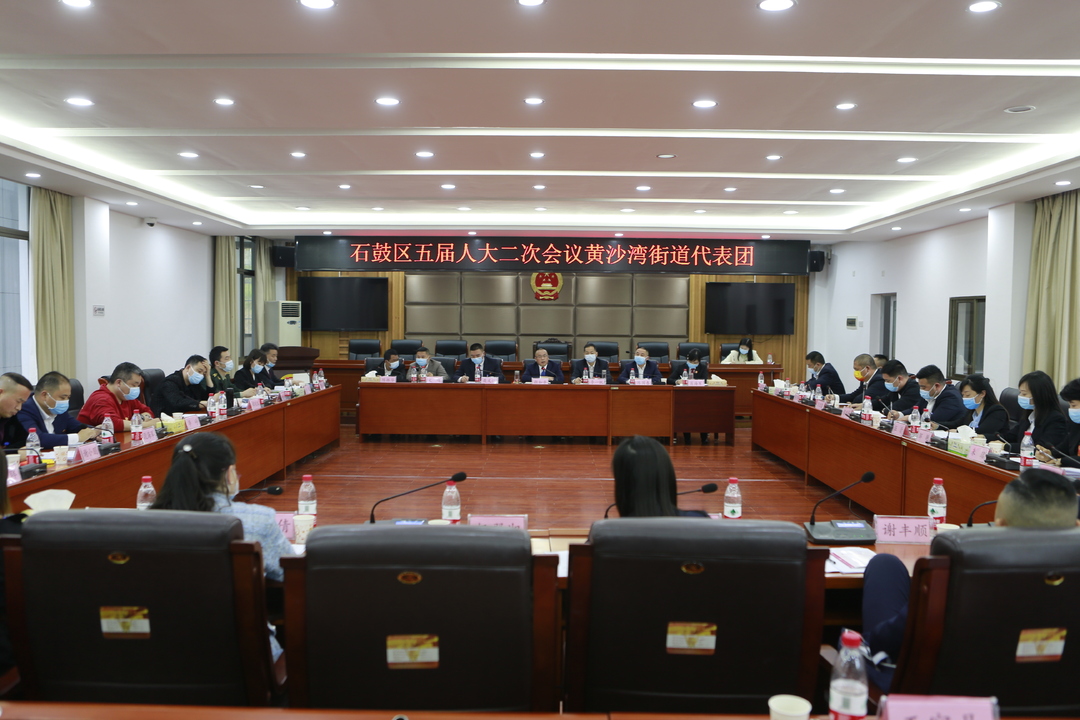 为政贵在担当，民生重在精微 颜和平与代表委员共话石鼓新发展