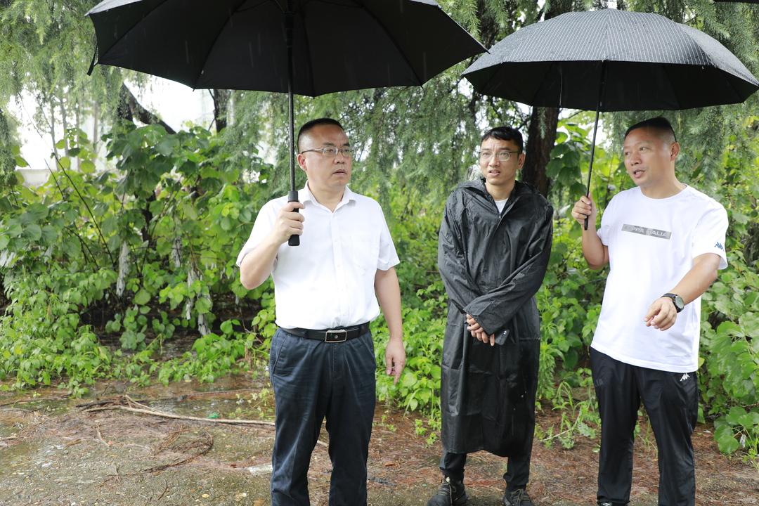 颜和平专题调研调度污染土块整治工作