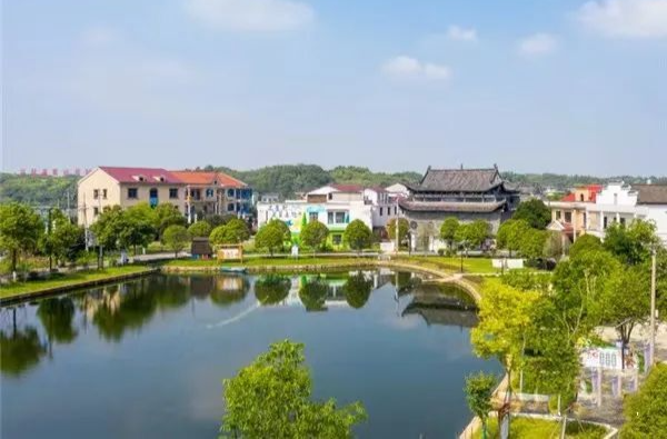 全市城乡治理标准化工作推进会召开，颜和平作典型发言
