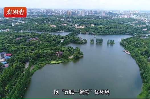 衡阳这套“组合拳”，蕴含了哪些“心法”？