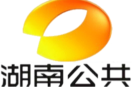 湖南公共|衡阳石鼓：暑期消防公益行 “萌娃”变身消防员