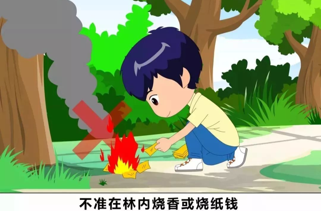 森林防火安全知识，请您查收！