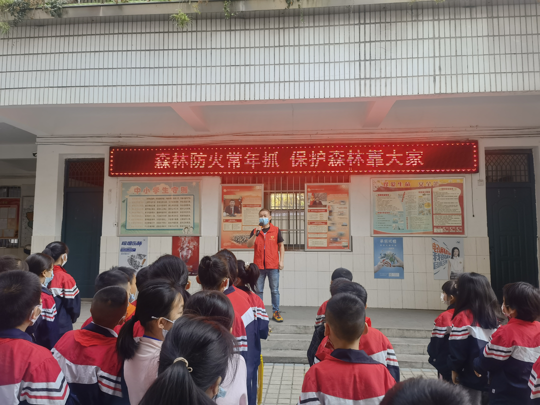 石鼓区草后街小学：严防森林火灾  共享生态家园