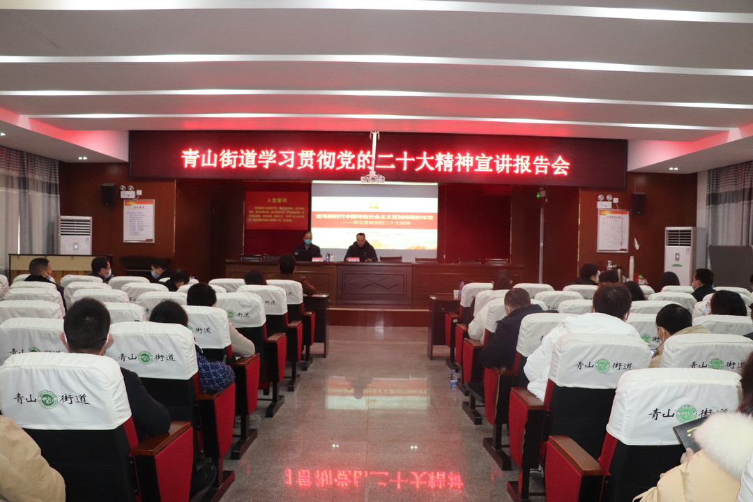 区领导深入青山街道宣讲党的二十大精神