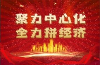 聚力中心化 全力拼经济