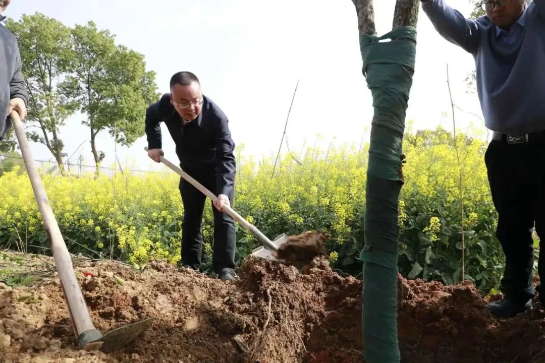 第45个植树节，颜和平等区领导一起为石鼓大地“添绿”