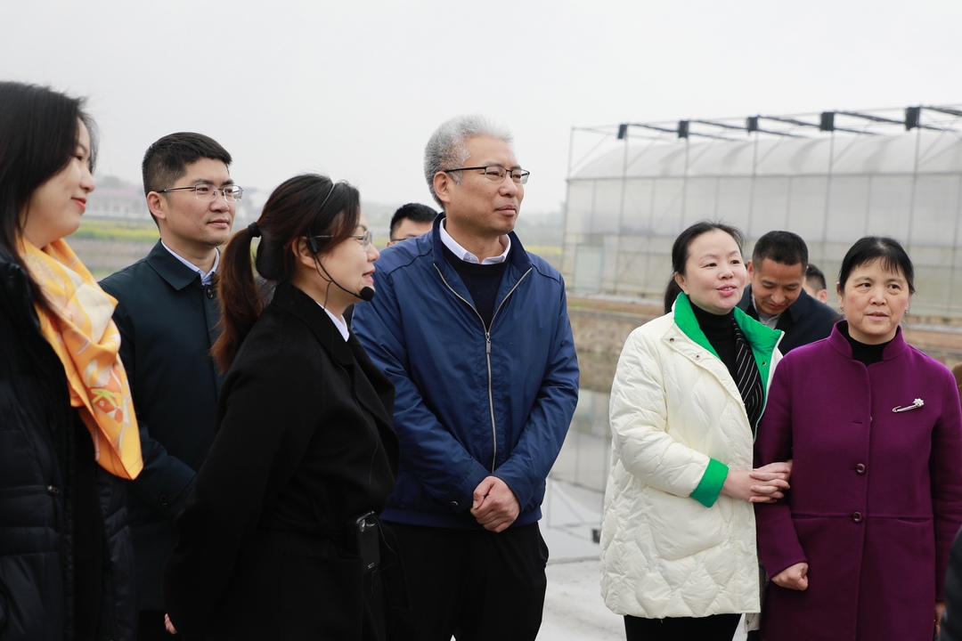 发展设施农业助力农业现代化，农业农村部调研石鼓区设施农业工作