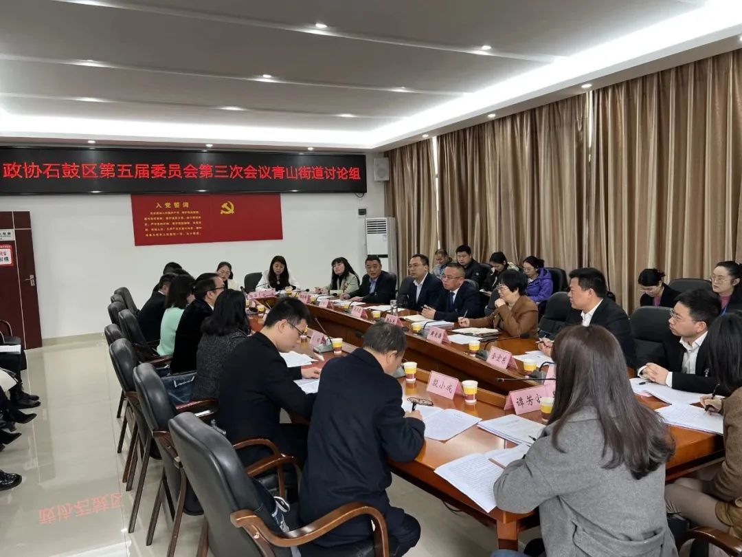 颜和平参加人大政协团组审议讨论