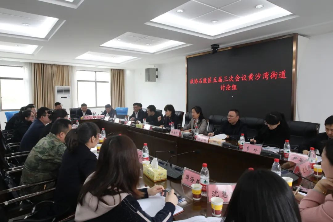 谢海蓉参加人大政协团组审议讨论