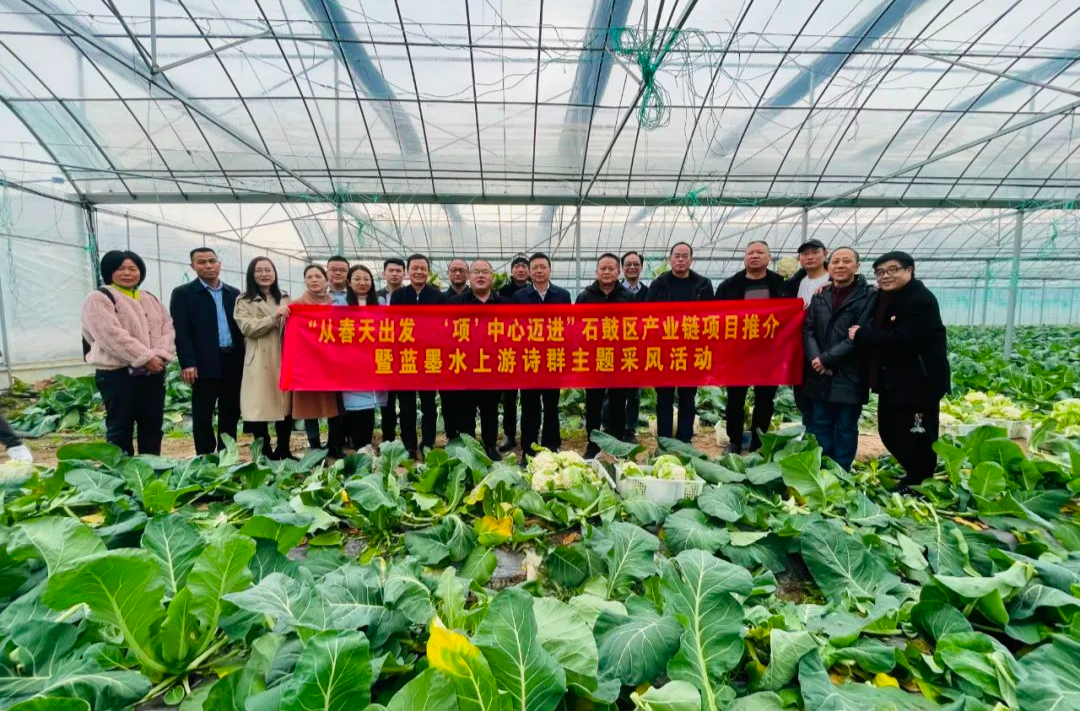 “从春天出发 ‘项’中心迈进”主题诗歌选丨杨震《春天，在石鼓的“项”中说“项”》