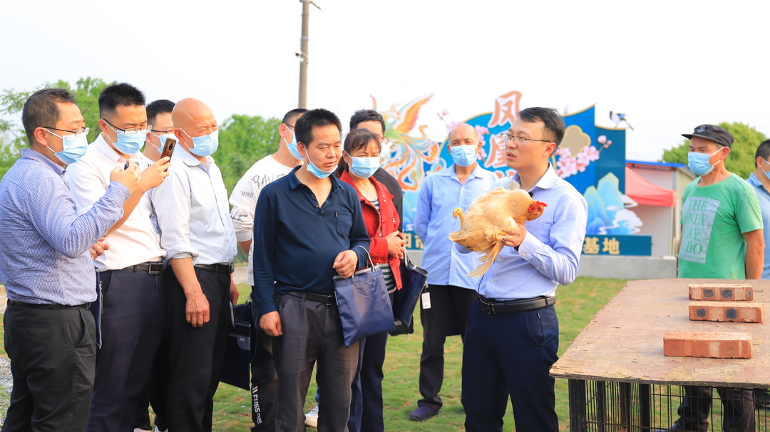 将实用技术送到田间地头！省委组织部“田间课堂”走进石鼓区