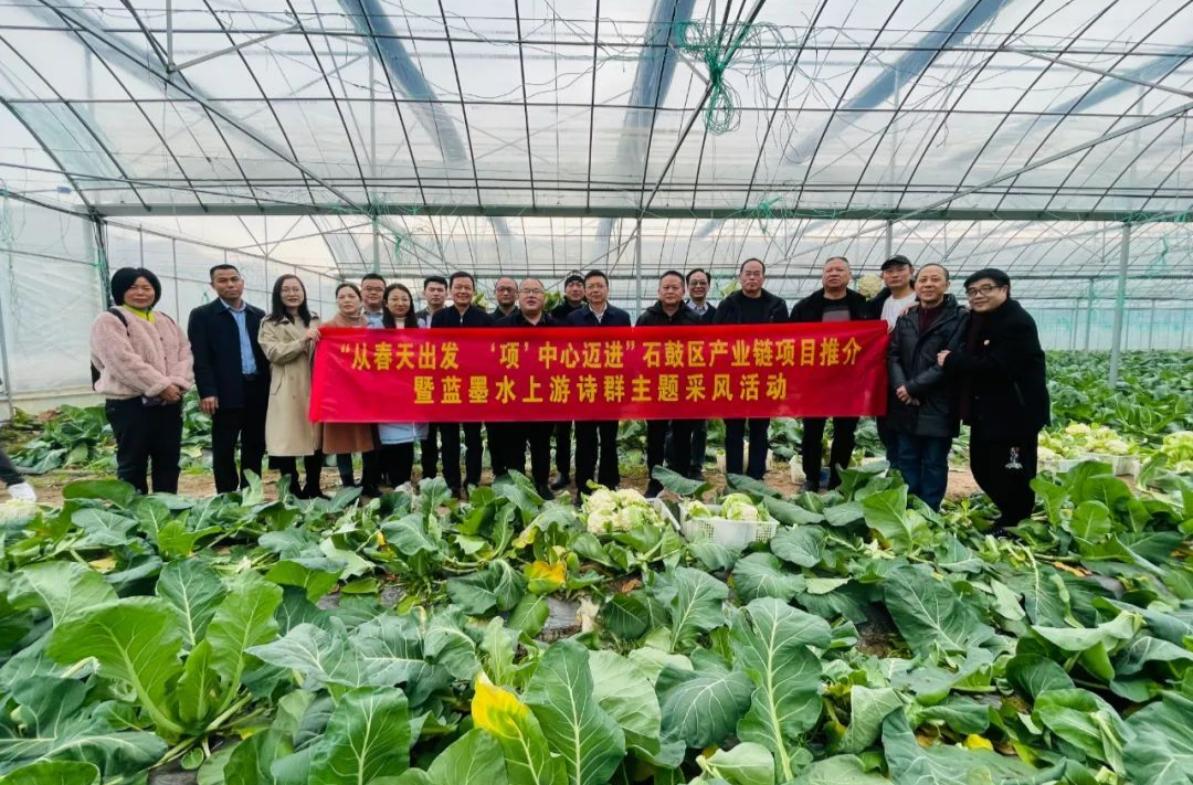 “从春天出发 ‘项’中心迈进”主题诗歌选丨法卡山《在三星村采摘辣椒，以及湖南人的乡愁解药》（外一首）