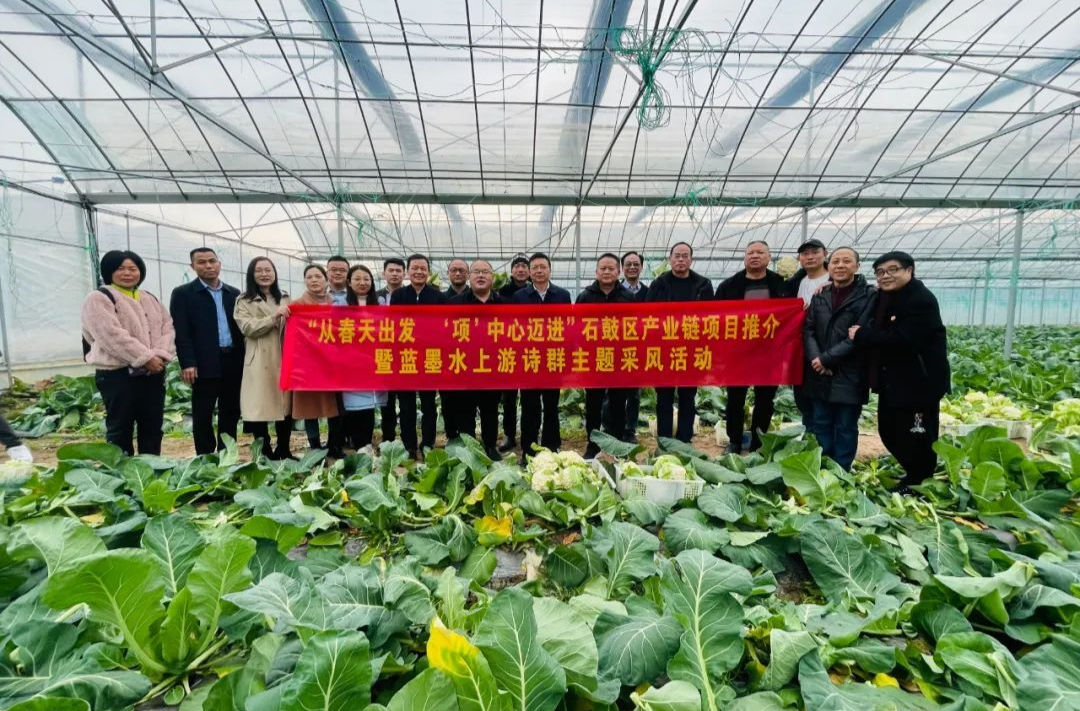 “从春天出发 ‘项’中心迈进”主题诗歌选丨天晴了《石鼓的春天》