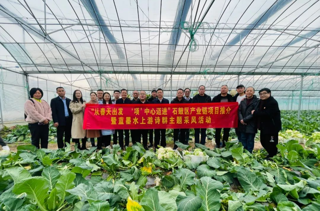 “从春天出发 ‘项’中心迈进”主题诗歌选丨法卡山《在三星村采摘辣椒，以及湖南人的乡愁解药》（外一首）