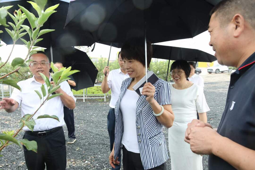 刘丽华赴石鼓区调研乡村振兴和政协工作