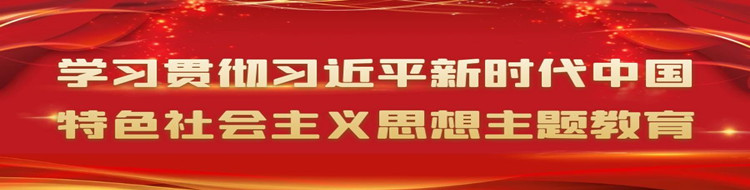学习贯彻习近平新时代中国特色社会主义思想主题教育
