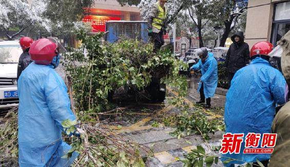 应对低温雨雪冰冻天气 石鼓园林在行动