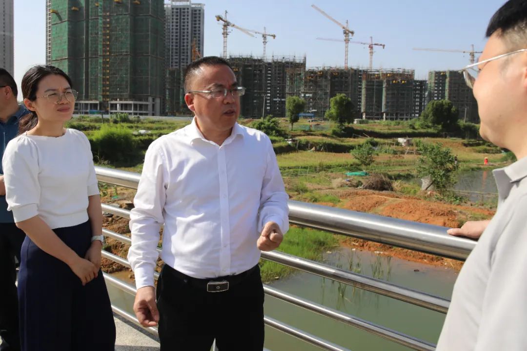 颜和平到合江街道调研当前重点工作