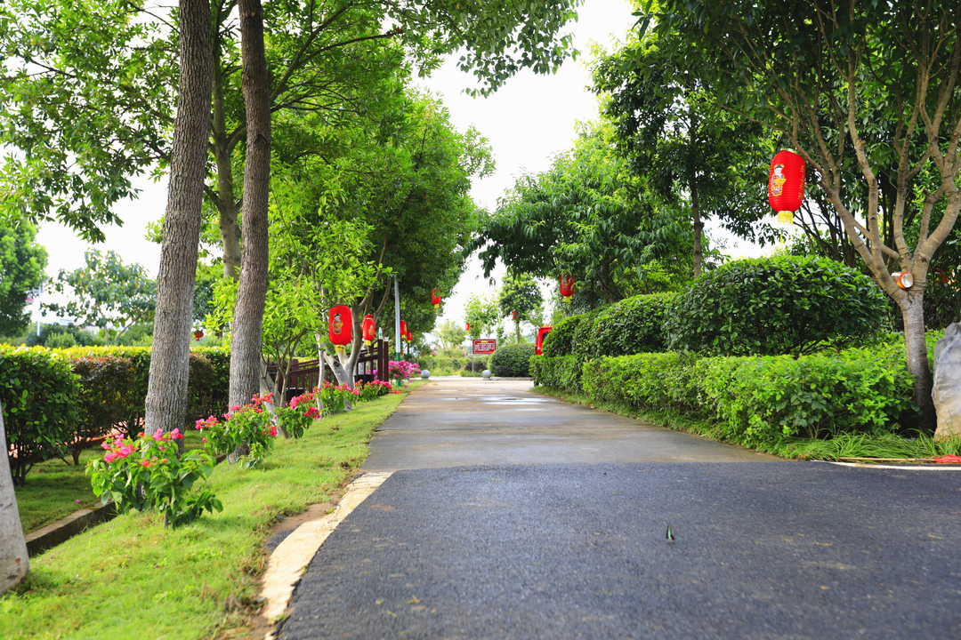 衡阳市石鼓区利民村：农旅融合让田园美、乡村兴