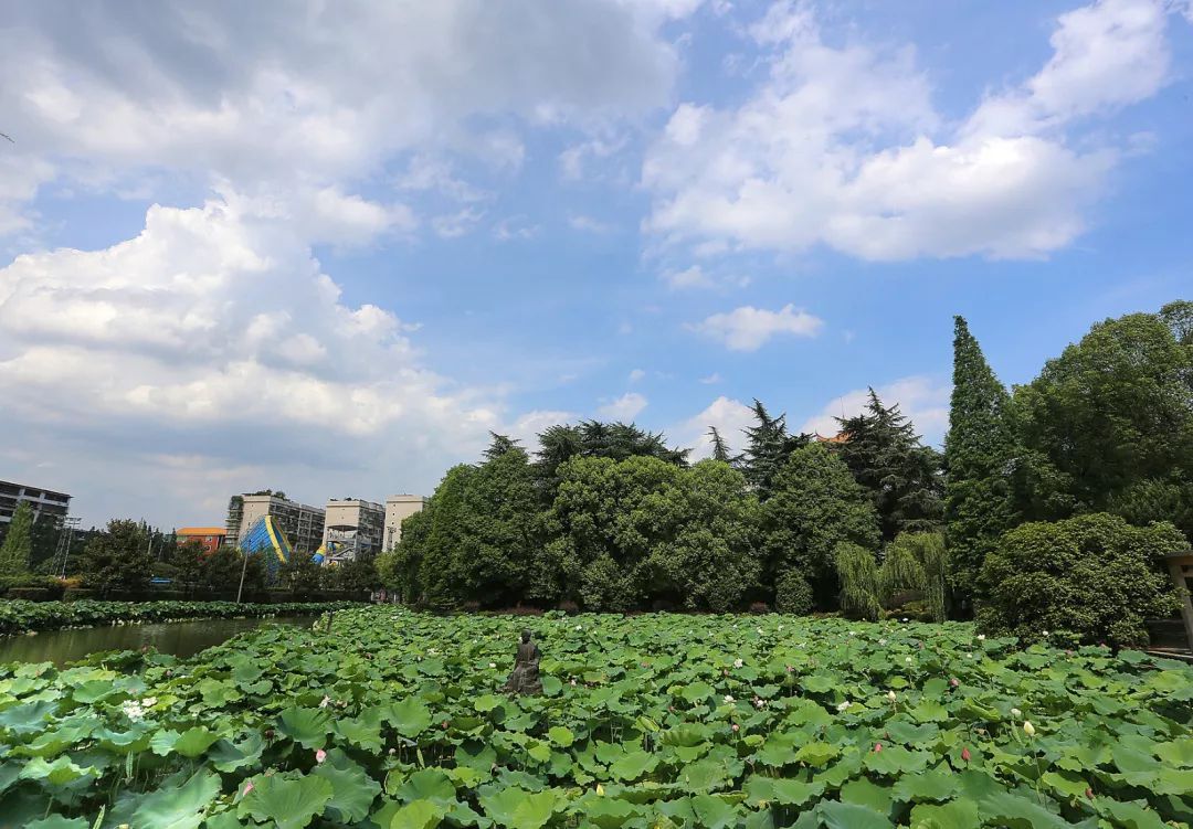 助力旅发大会，西湖公园将提质改造