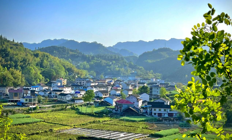 “鼓”足干劲 “首”尾共济——石鼓区结对帮扶永顺县首车镇侧记