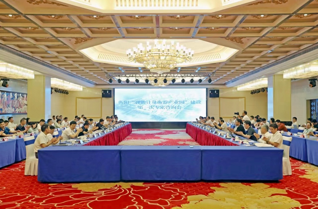 衡阳“智能计量衡器产业园”建设第一次专家咨询会召开 专家学者商界精英为计量产业出计献策 为衡阳发展“量体裁衣”