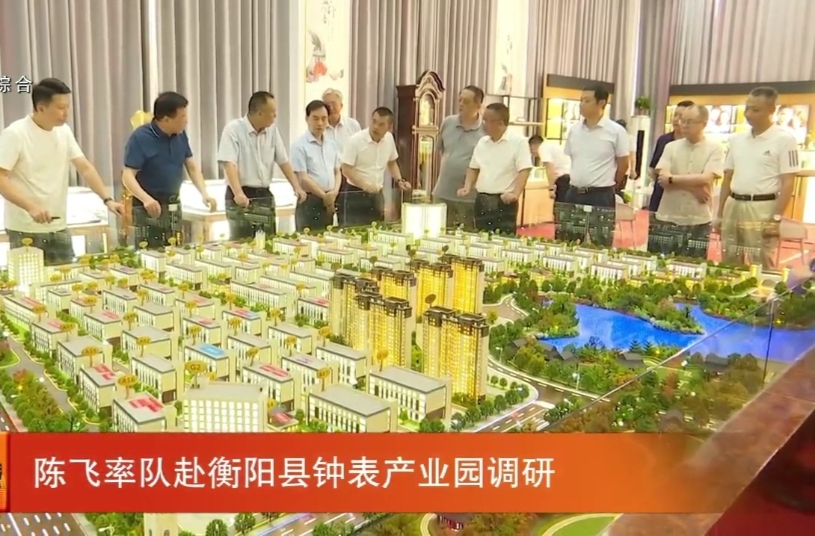 陈飞率队赴衡阳县钟表产业园调研
