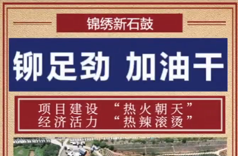 铆足劲、加油干！一起来感受石鼓项目现场“热力值”