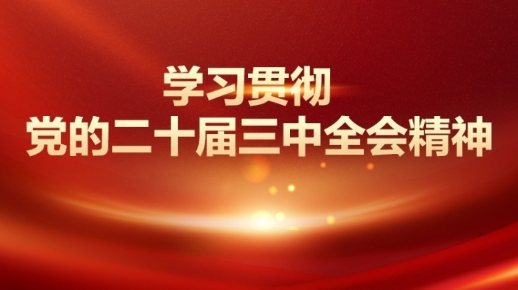 学习贯彻党的二十届三中全会精神