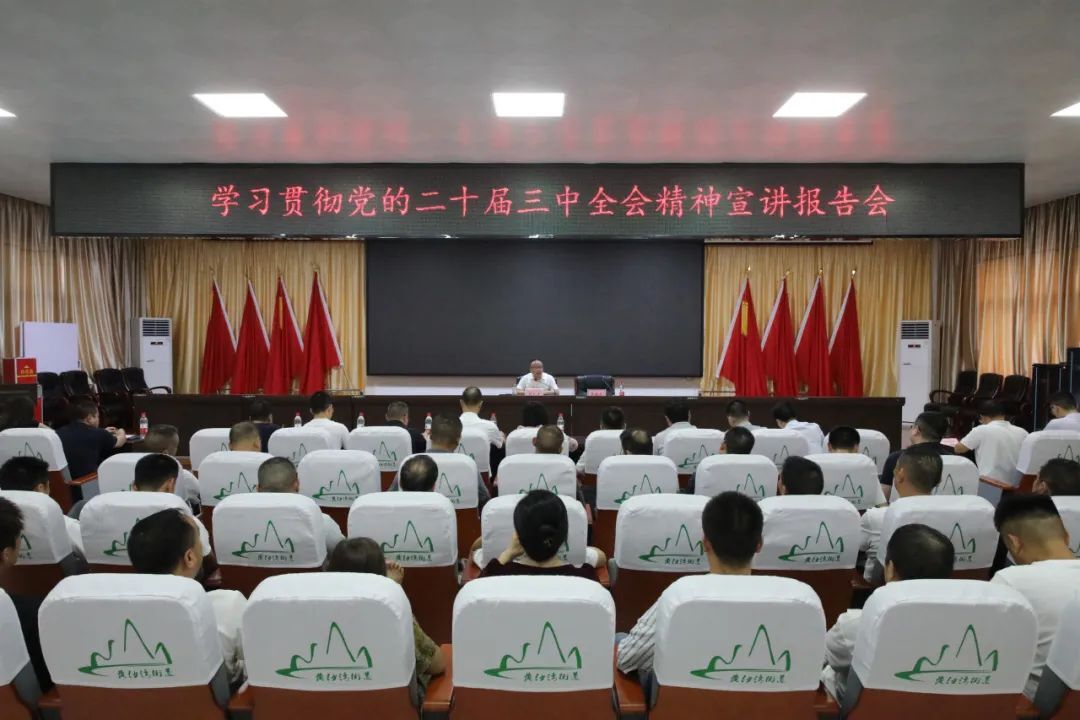 石鼓区委常委班子宣讲党的二十届三中全会精神，颜和平、谢海蓉分别宣讲