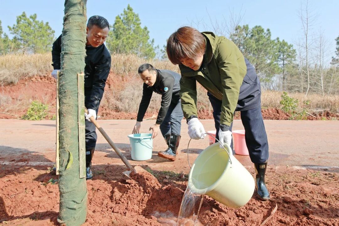 拥抱春天，“植”此青绿！石鼓区2025年集中义务植树活动举行