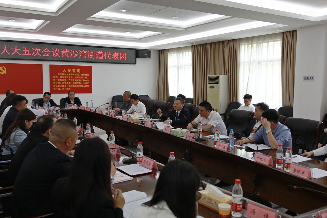 赵波参加区五届人大五次会议黄沙湾街道代表团、潇湘街道代表团分团审议