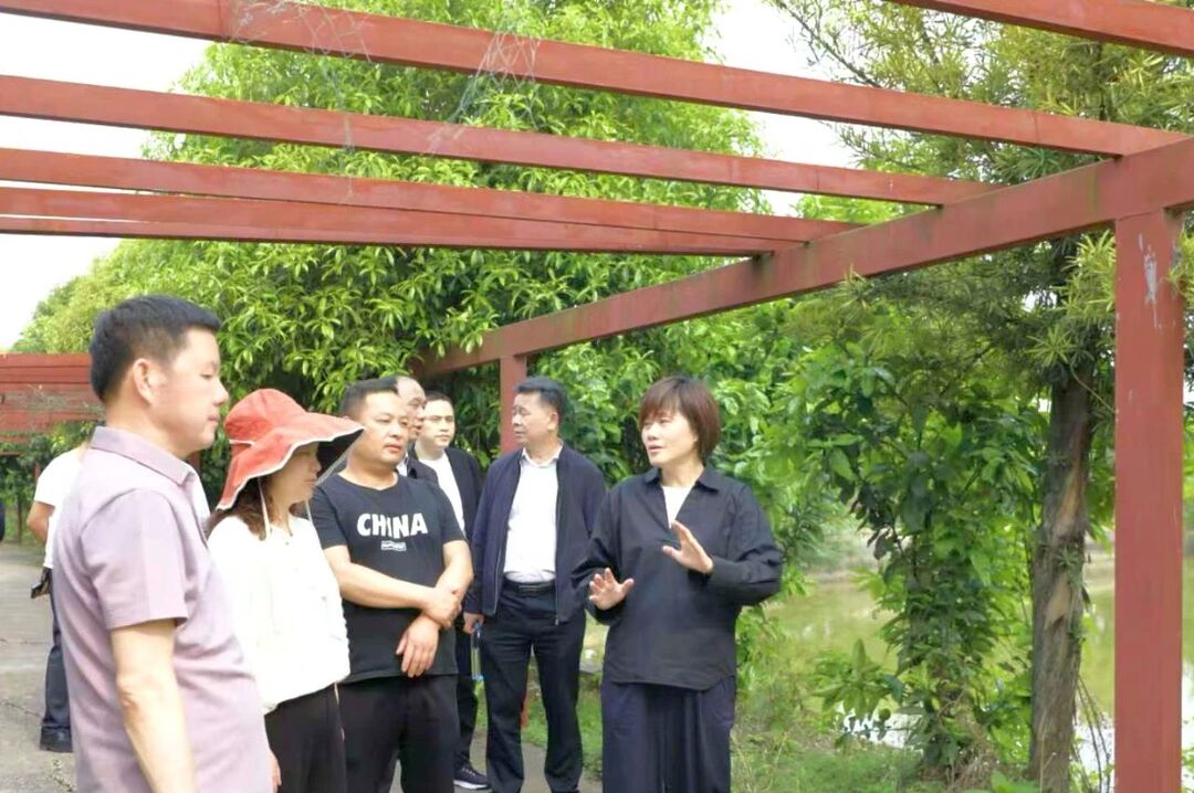 谢海蓉调研都市生态农业文化旅游环线三星片区有关工作