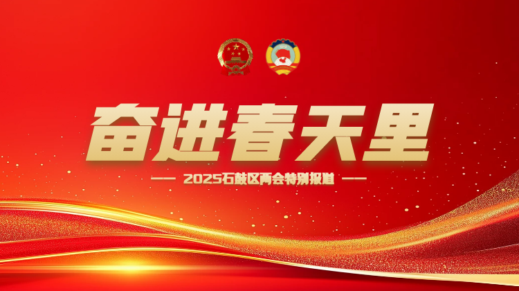 奋进春天里——2025石鼓区两会特别报道