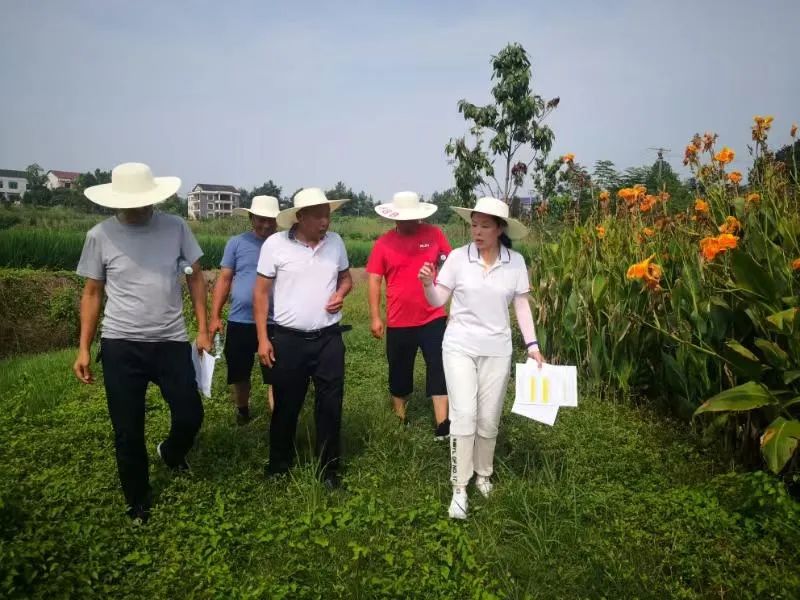 【履职印记·委员风采】听区政协委员谷艳玲、王东初的履职故事