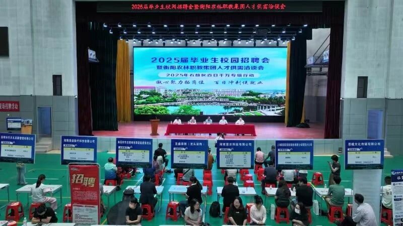 AI智能匹配岗位，​石鼓区这样为高校毕业生“职引未来”