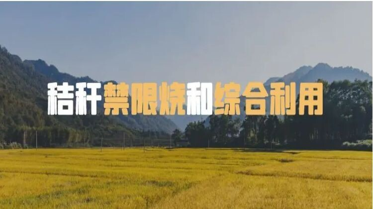 秸秆禁限烧和综合利用