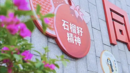 石鼓书声里的思政密码④ | 五一路小学：石榴花开别样红