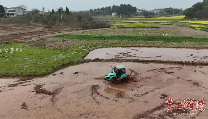 建设副中心 争当排头兵丨春耕正当时！石鼓区多措并举夯实粮食生产根基