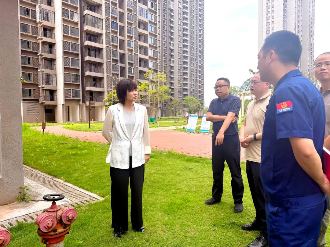 谢海蓉督导消防安全隐患问题整改和城市更新提质改造工作，并召开现场办公会