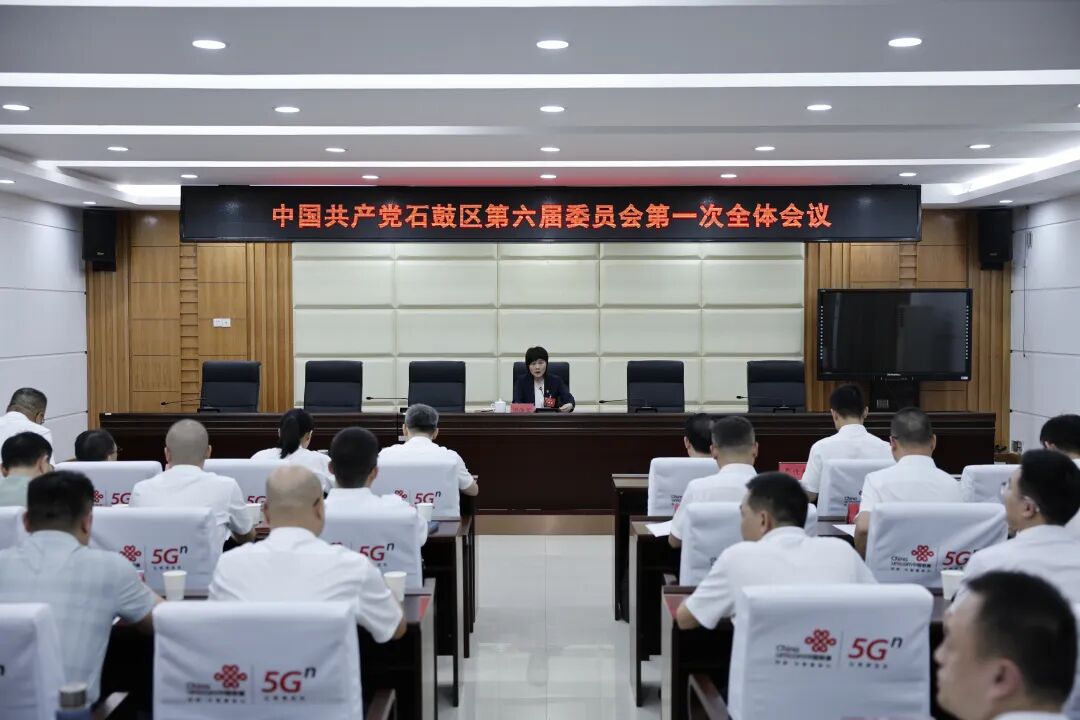 中国共产党石鼓区第六届委员会举行第一次全体会议，谢海蓉当选区委书记