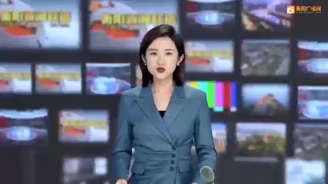 衡阳广电网 | 石鼓：华辰物流园开园