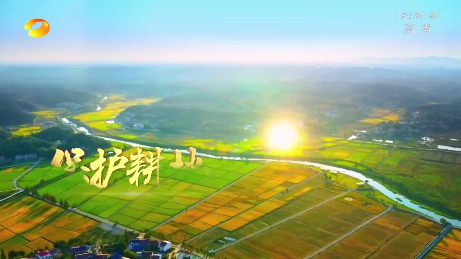 湖南卫视 | 衡阳石鼓：守好耕地粮满仓 科技赋能 守护耕地