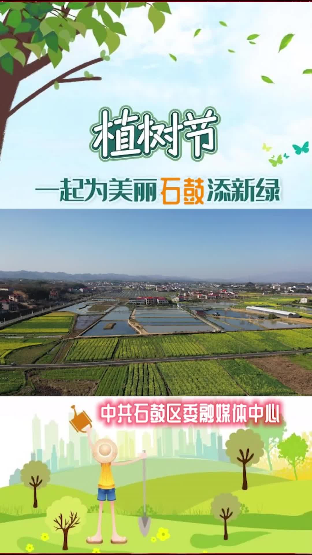 石鼓区植树添新绿，区文旅系统和镇村党员群众携手为雁城充“植”！